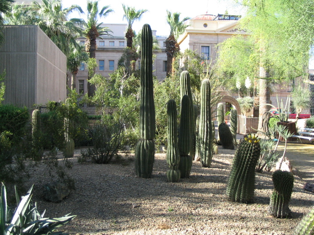 618x457 pixels (269K)